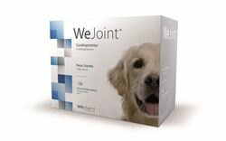 WEJOINT LARGE BREED (+25KG) 120CO